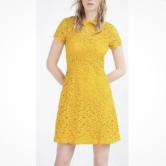 Zara Basic Collection Lace Floral A Line Dress Mustard Yellow Collared Large - Picture 1 of 8